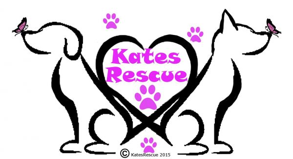 Kate's Rescue for Animals