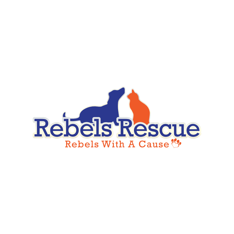 Pets for Adoption at Rebels Rescue Inc., in Tampa, FL | Petfinder