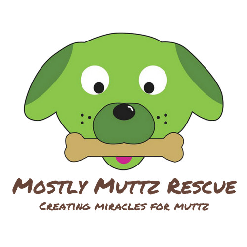 Adoption at Mostly Muttz Rescue 