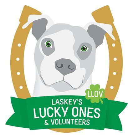 Laskey's Lucky Ones & Volunteers (LLOV)