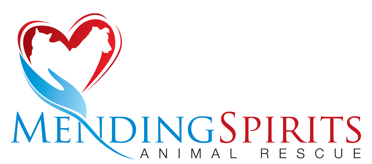 Mending Spirits Animal Rescue