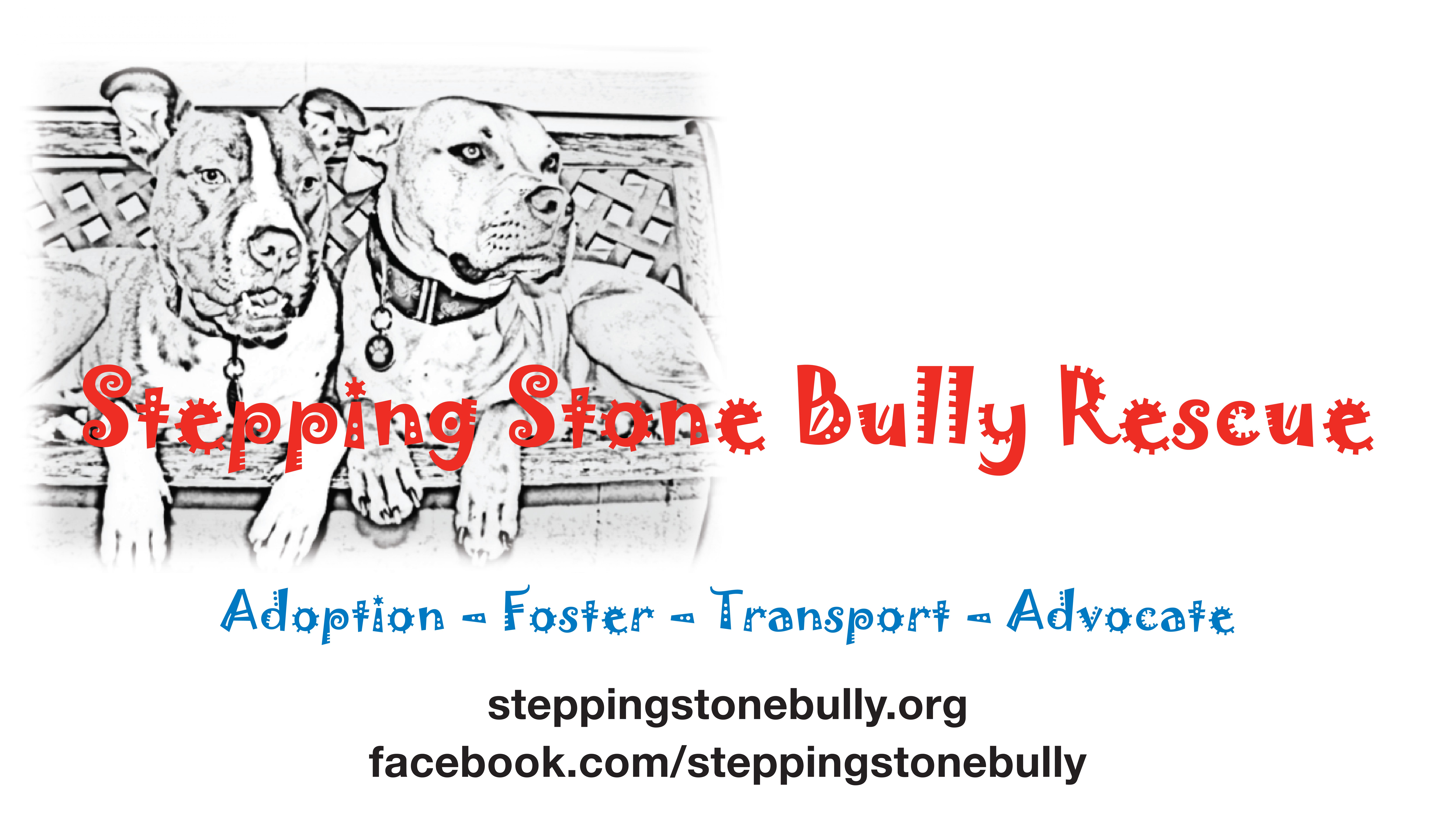 Stepping Stone Bully Rescue