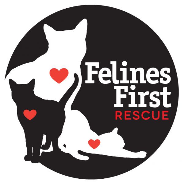 Felines First Rescue