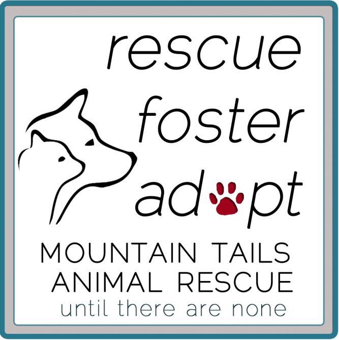 Mountain Tails Animal Rescue