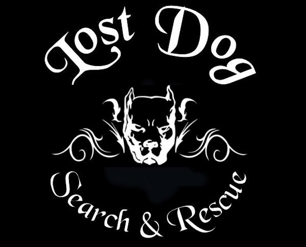 pets-for-adoption-at-lost-dog-search-and-rescue-in-toms-river-nj