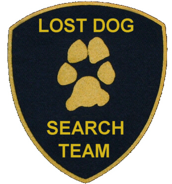 lost dog search