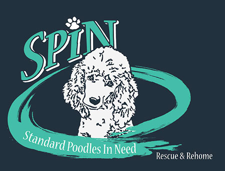 Spin store poodle rescue