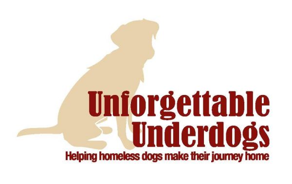 Unforgettable Underdogs Dog Rescue