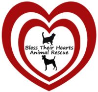 Pets for Adoption at Bless Their Hearts Animal Rescue, in Becker, MS ...