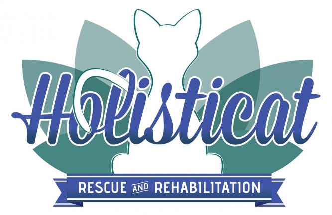 Holisticat Rescue and Rehabilitation