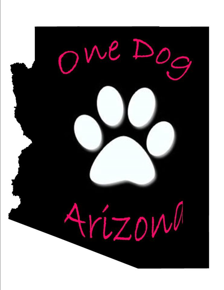 One Dog Arizona