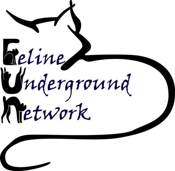 Feline Underground Network
