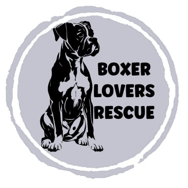 Boxer Lovers Rescue