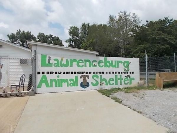City of Lawrenceburg Animal Control