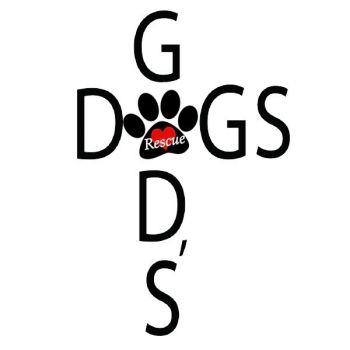 Saving God's Lost Dogs...