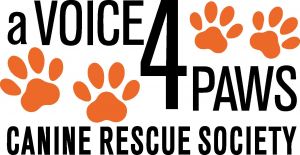 A Voice4paws Canine Rescue