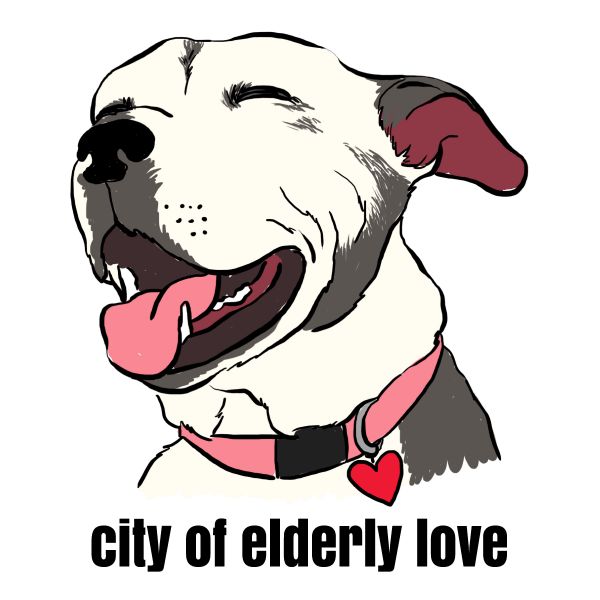 City of Elderly Love