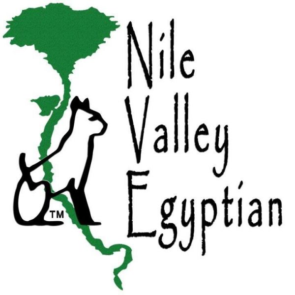 Nile Valley Egyptian Foundation