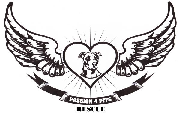 Passion 4 Pits Rescue