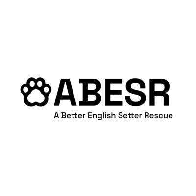 A Better English Setter Rescue