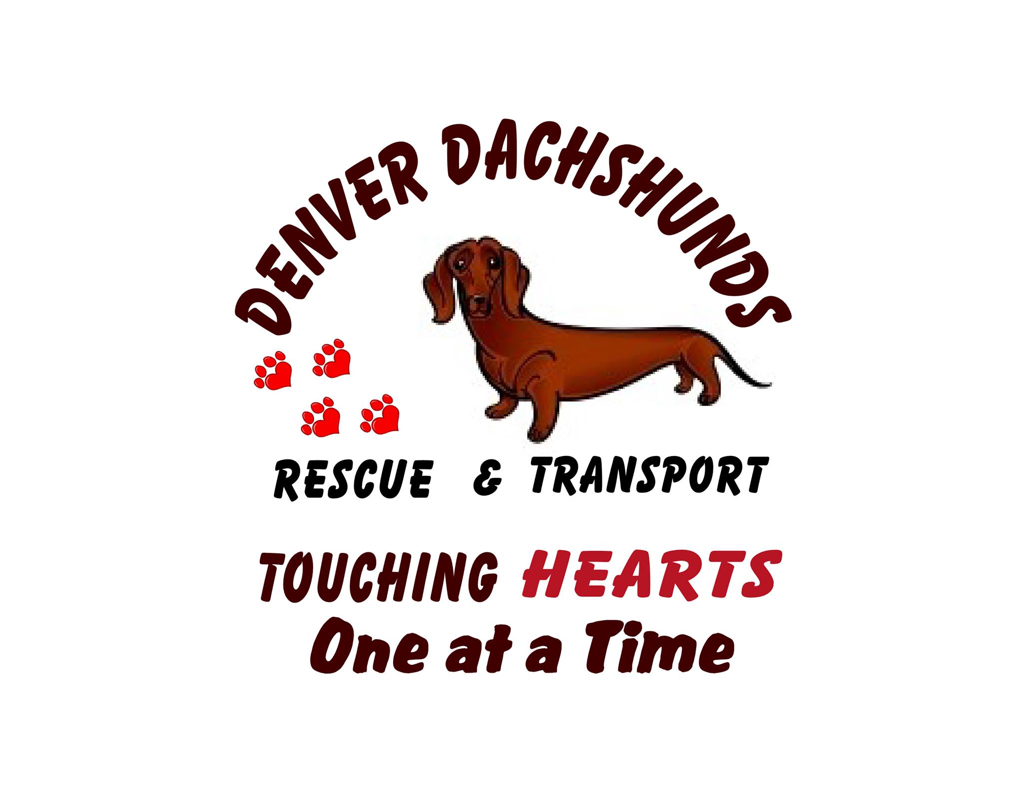 Denver Dachshunds Rescue and Transport