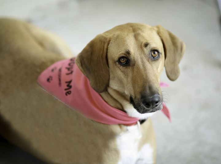 Emma needs someone to bring her into their home.