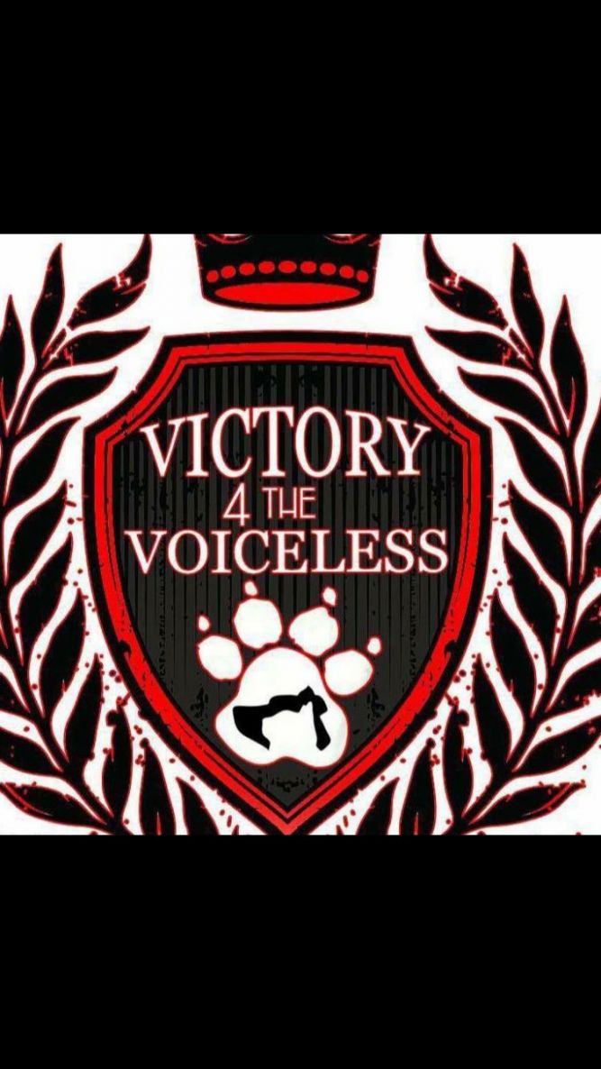 Victory 4 the Voiceless Animal Rescue, Inc.