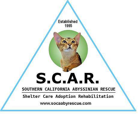 Southern California Abyssinian Rescue (SCAR)