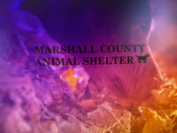 Marshall County AL Animal Control