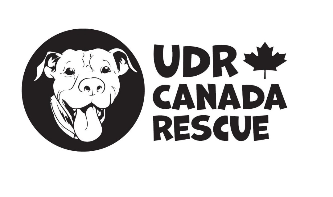Underdog Railroad Canada