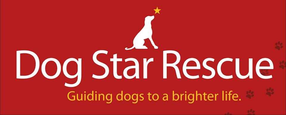 Dog Star Rescue, Best CT Dog Rescue