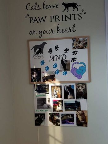 Our board at Waterville Vet