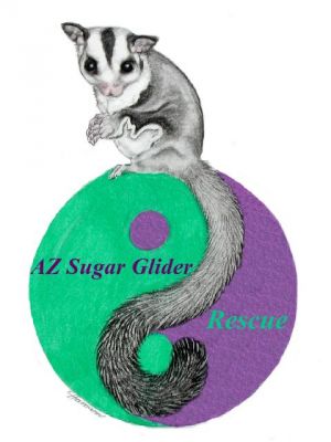 AZ Sugar Glider Rescue