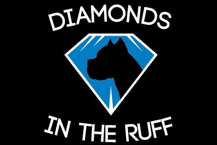 Diamonds in the Ruff Rescue