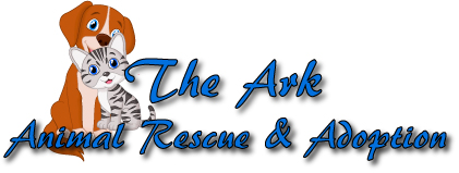 The ark animal rescue sales & adoption