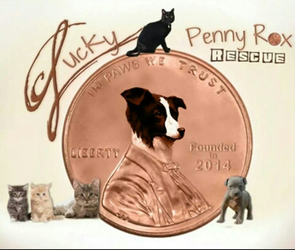 Lucky Penny Rox Rescue - Ft Bend County Tx