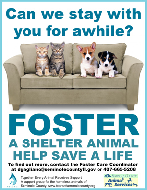 Fostering saves lives!