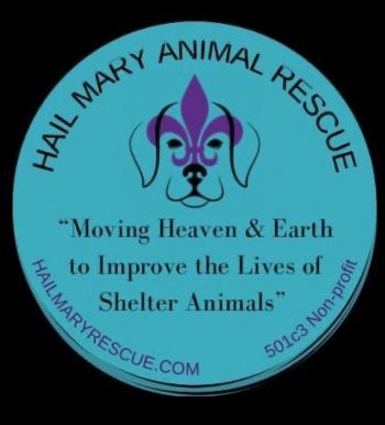 Hail Mary Rescue Intake Facility