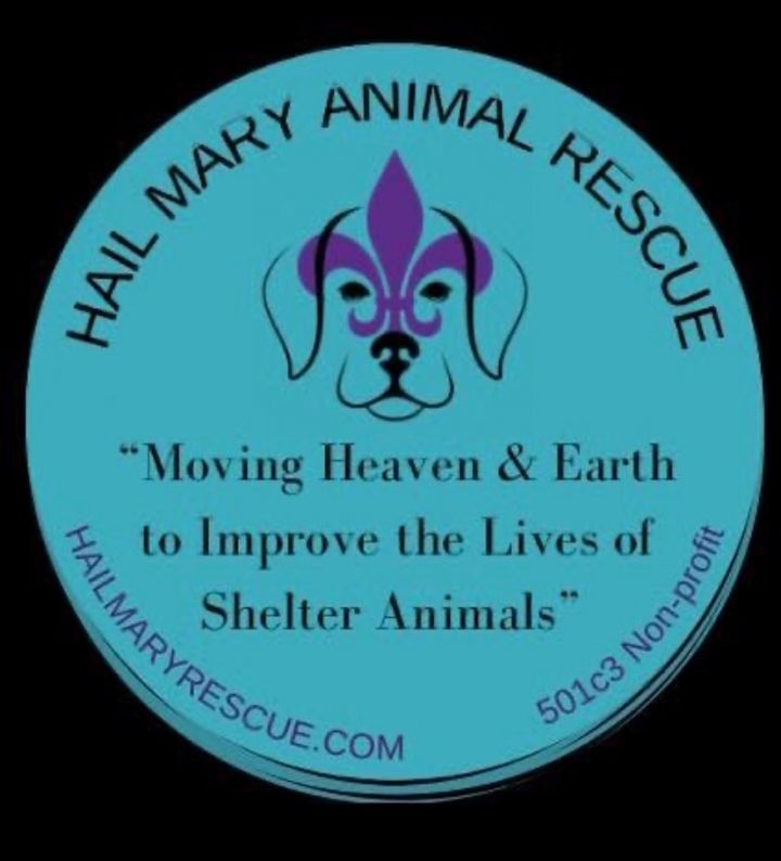 Hail Mary Rescue Intake Facility