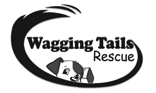 Wagging Tails Rescue