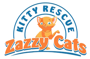 Zazzy Cats Kitty Rescue