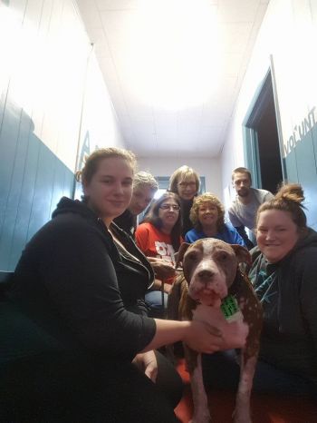 H.A.R.T.'s Shelter Team!