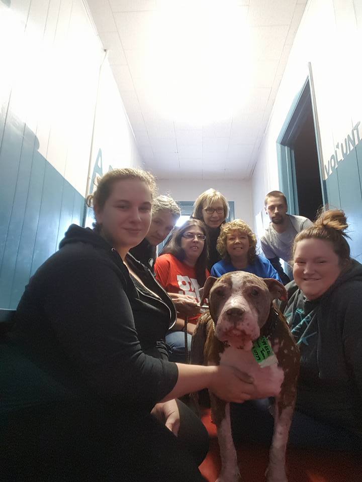 H.A.R.T.'s Shelter Team!