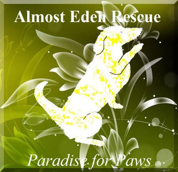 Almost Eden Rescue