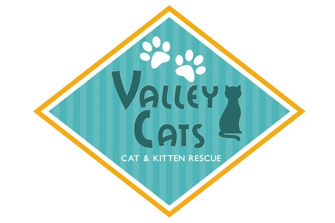 Valley Cats Inc.