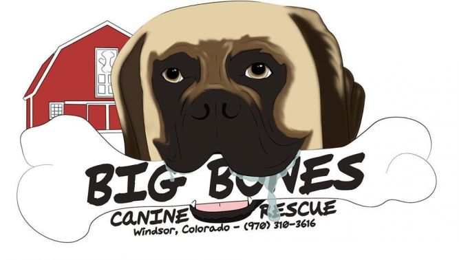 Big Bones Canine Rescue