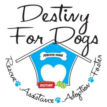 Destiny for Dogs