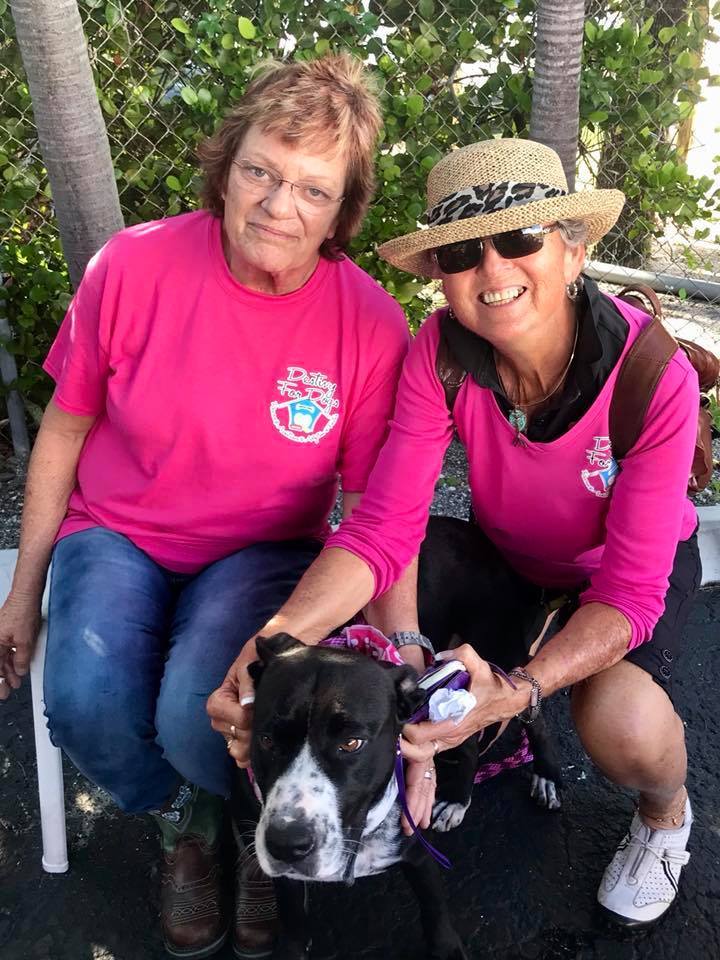 Molly at the Destiny for Dogs Event