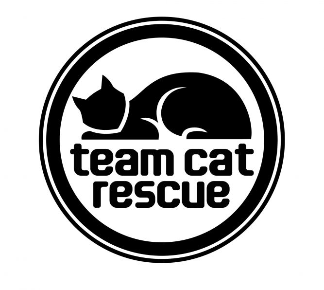 Team Cat Rescue