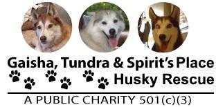 GTS Husky Rescue (Gaisha, Tundra, and Spirit's Place)